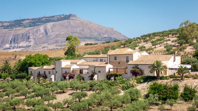 Coastal olive grove at Baglio San Vito, Sicily